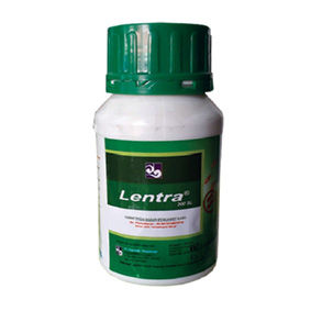 Lentra